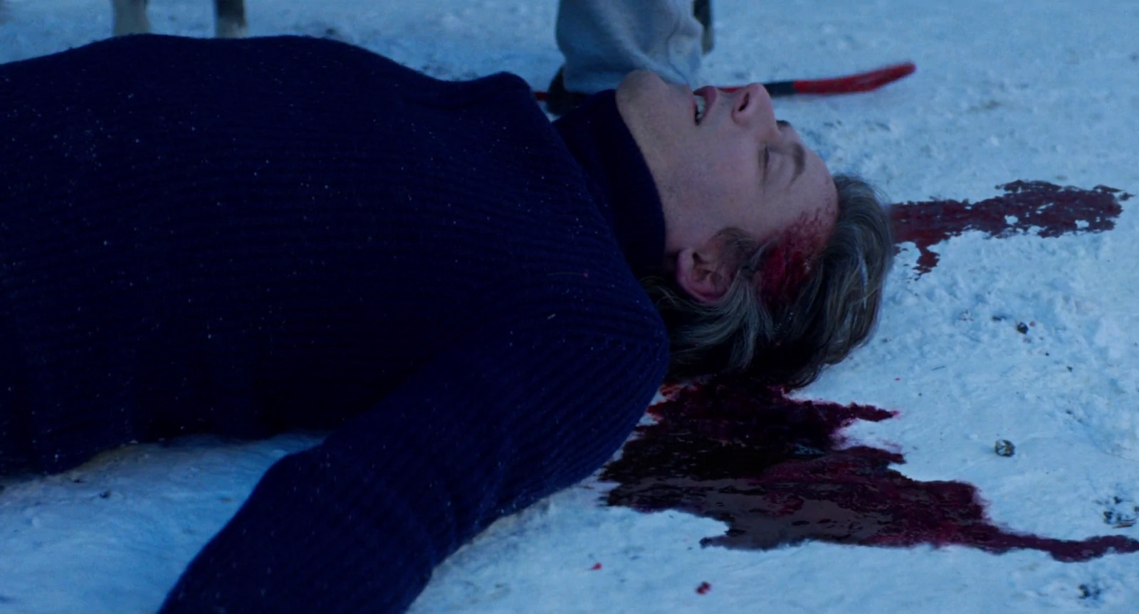 Anatomy of a Fall (2023) Movie Screenshot (1)