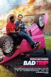 Bad Trip (2021) Movie Poster