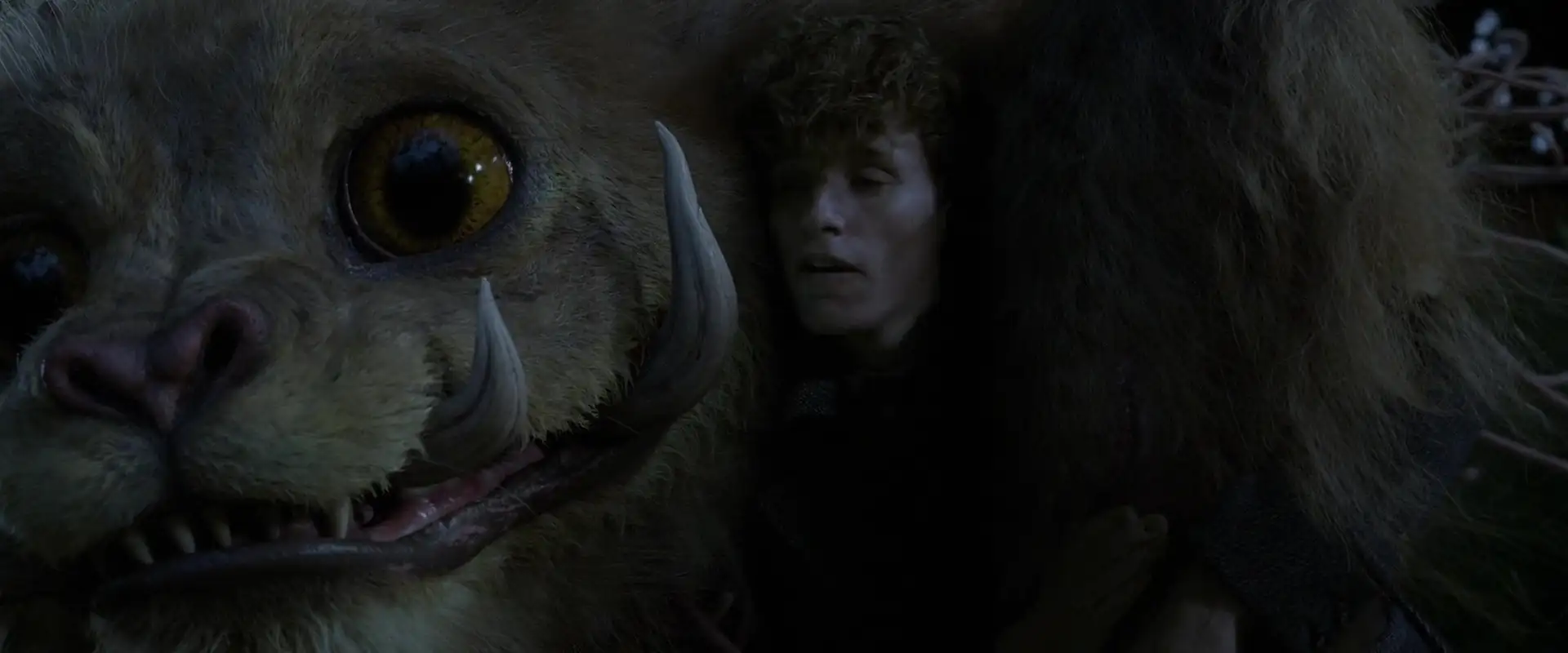 Fantastic Beasts The Crimes of Grindelwald (2018) Movie Screenshot (2)