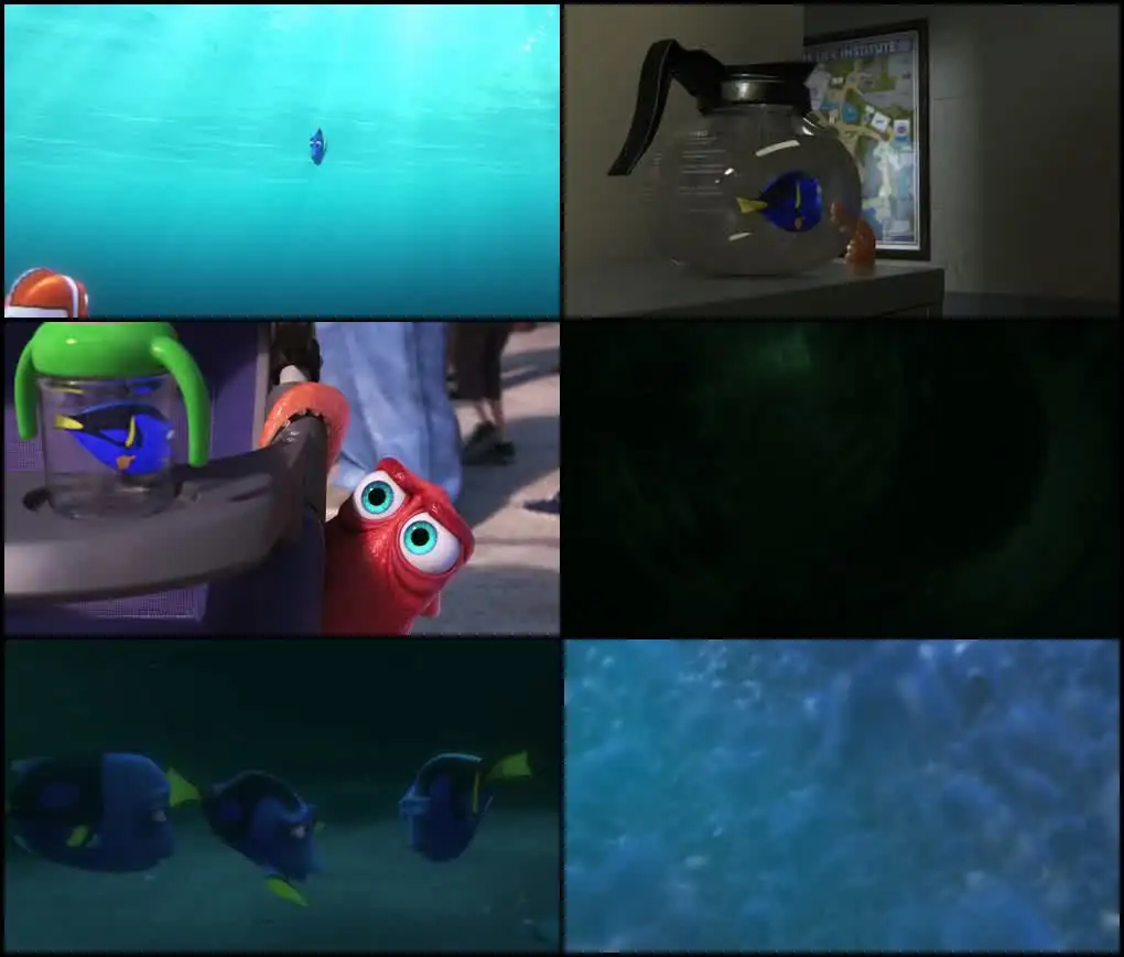 Finding Dory (2016) Movie Screenshot (1)