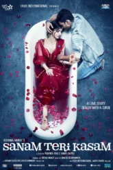 Sanam Teri Kasam (2016) Movie Poster