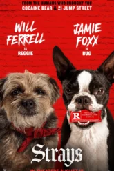 Strays (2023) Movie Poster