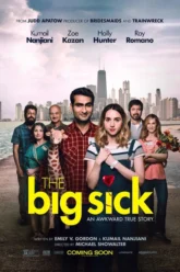 The Big Sick (2017) Movie Poster