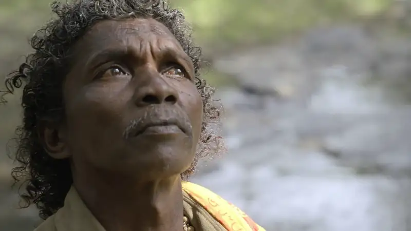 The Elephant Whisperers (2022) Movie Screenshot (1) The Elephant Whisperers (2022) Movie Screenshot (1)