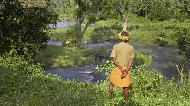 The Elephant Whisperers (2022) Movie Screenshot (3) The Elephant Whisperers (2022) Movie Screenshot (3)