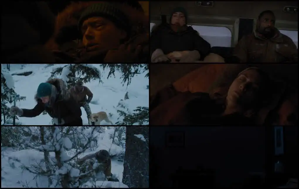 The Mountain Between Us (2018) Movie Screenshot (1)